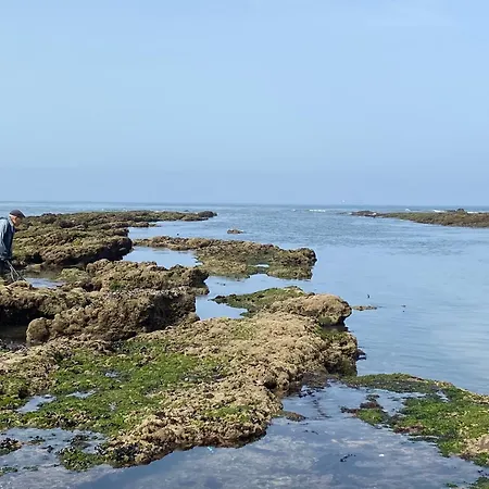 A 3mn A Pied De La Plage, A Διαμέρισμα Buarcos