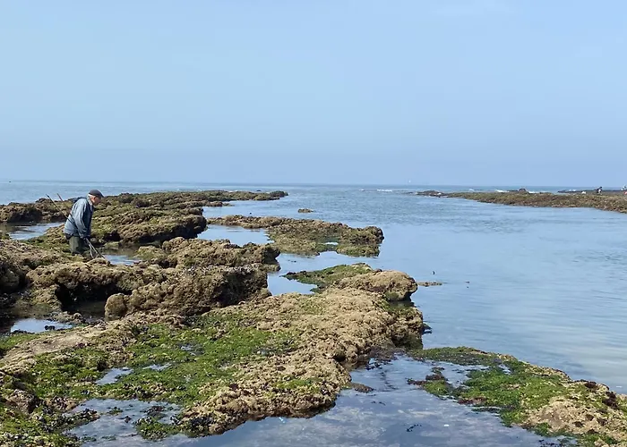A 3mn à Pied De La Plage, à Appartement Buarcos